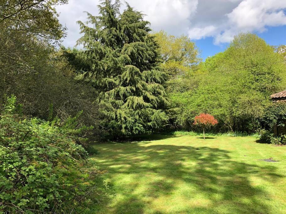Forestry Cottage. Hot Tub, Open Fire, Dog Friendly Gaywood Exterior photo