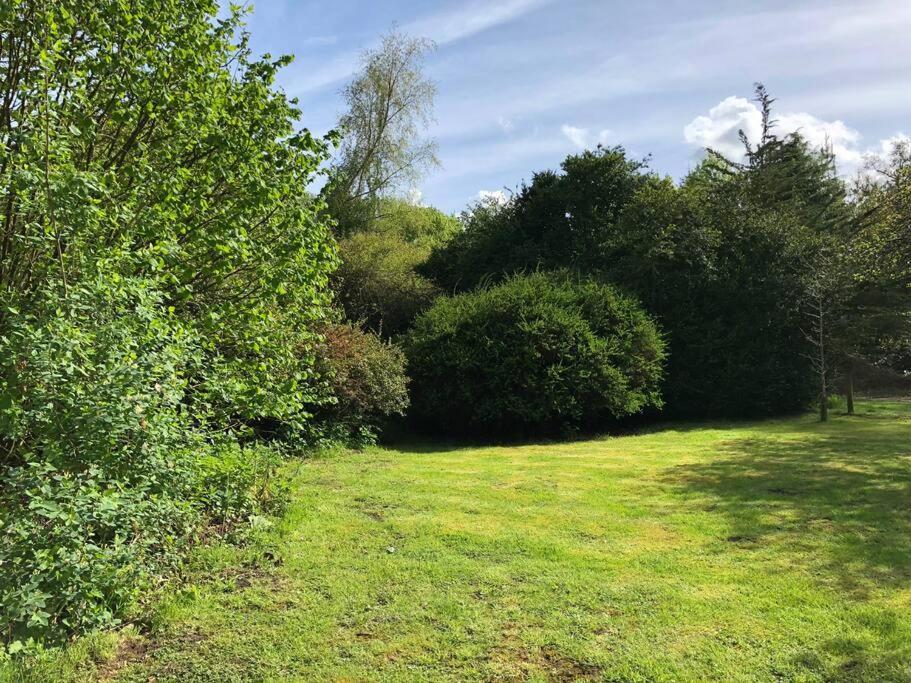 Forestry Cottage. Hot Tub, Open Fire, Dog Friendly Gaywood Exterior photo