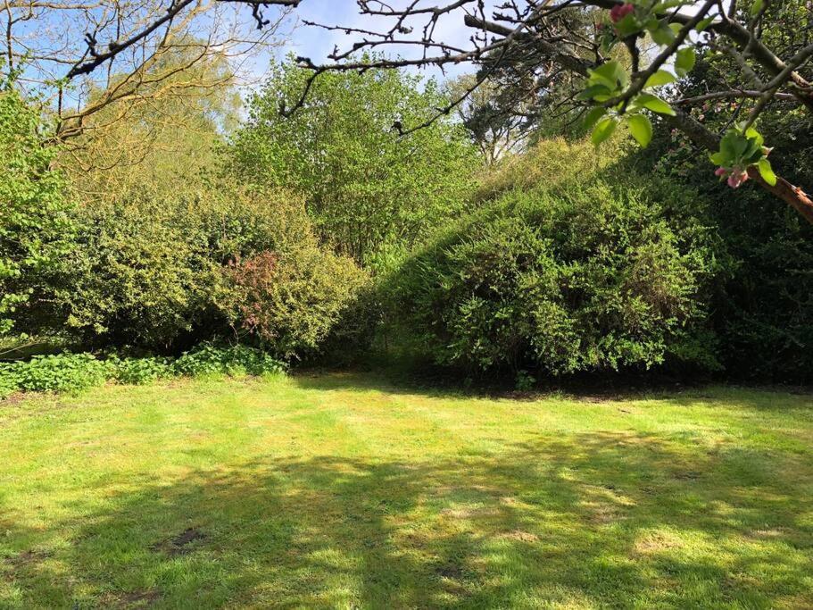 Forestry Cottage. Hot Tub, Open Fire, Dog Friendly Gaywood Exterior photo